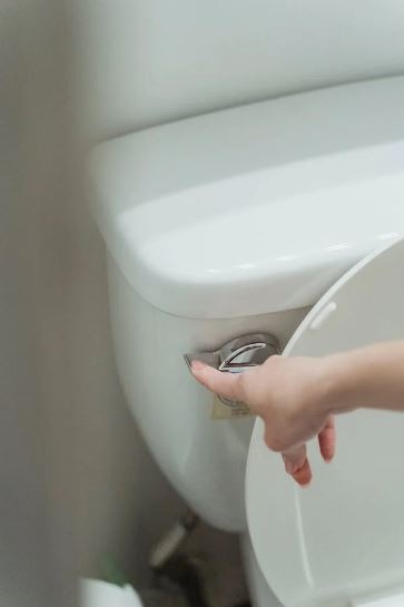 Flush the toilet