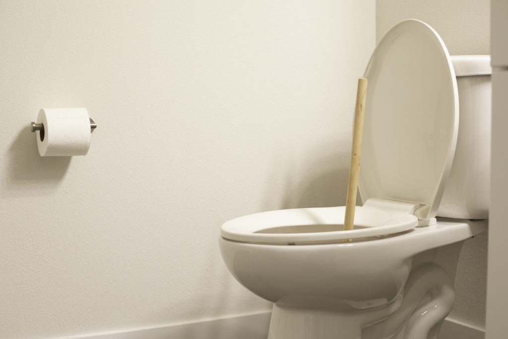 Toilet auger vs. Toilet plunger