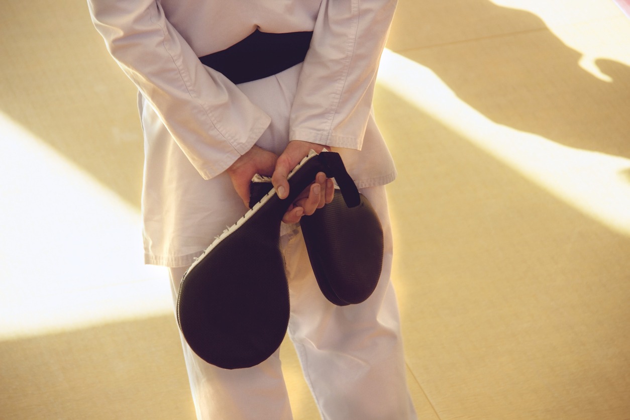 Kick Pads, Martial Arts