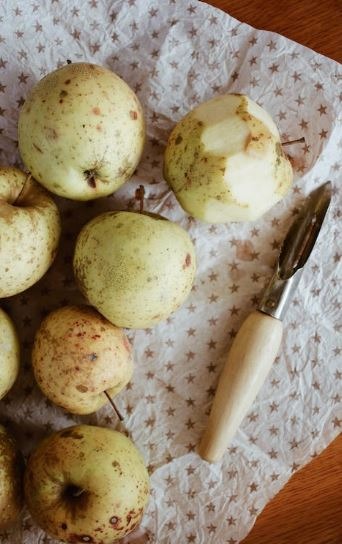 peeled apples beside a Lancashire peeler on a paper
