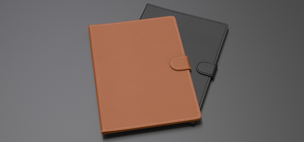2 passport cover with flip lock