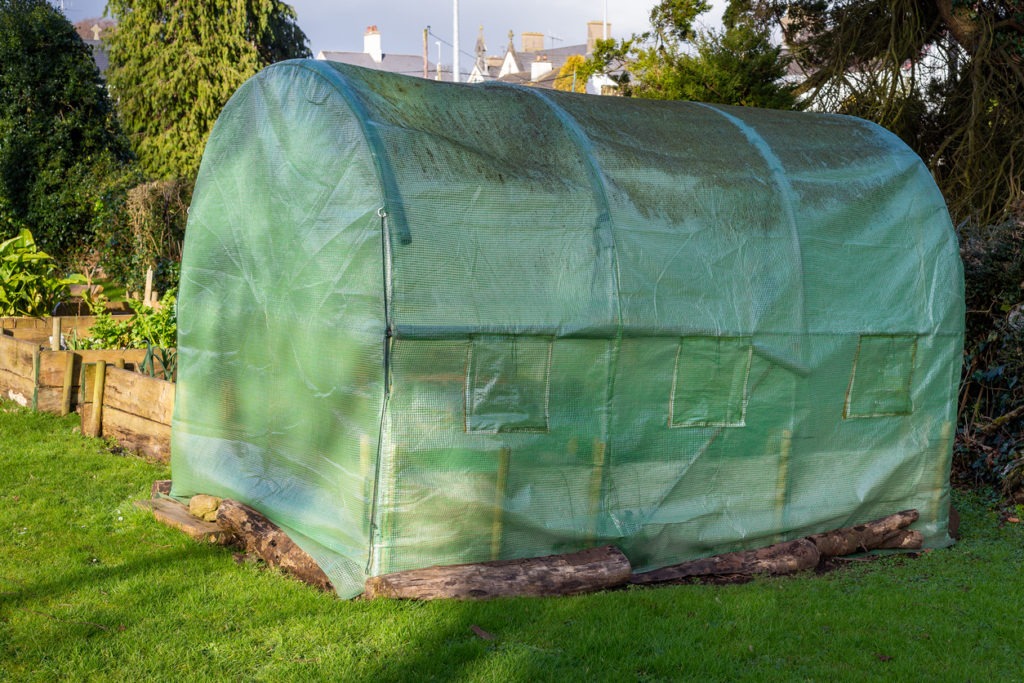 a greenhouse made with masonry ladders