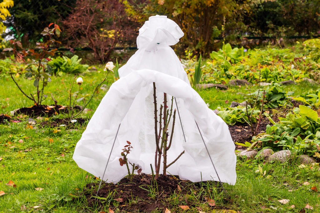 a plant shelter
