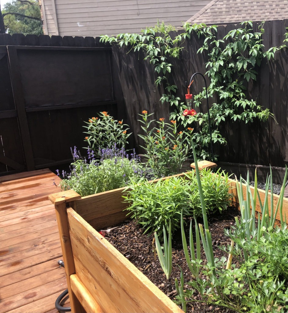 A high raised garden bed