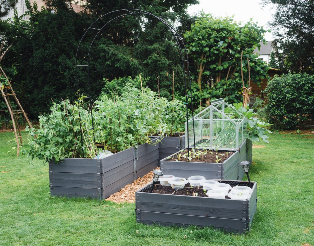 Several raised garden beds