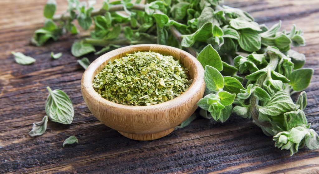 fresh and dried oregano leaves on wooden background
