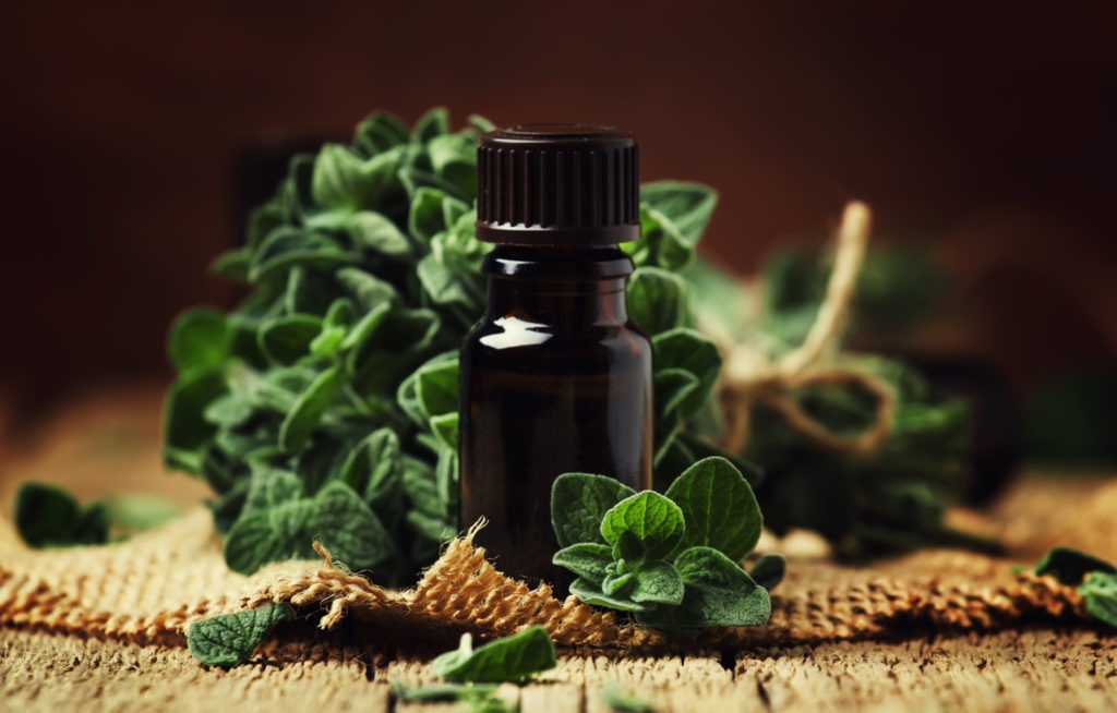 regano oil in glass jar and a bunch of fresh oregano