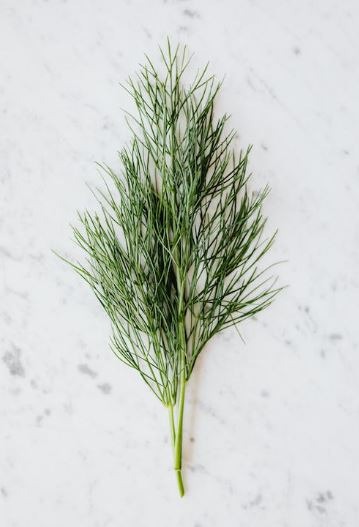 Dill
