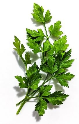 Parsley