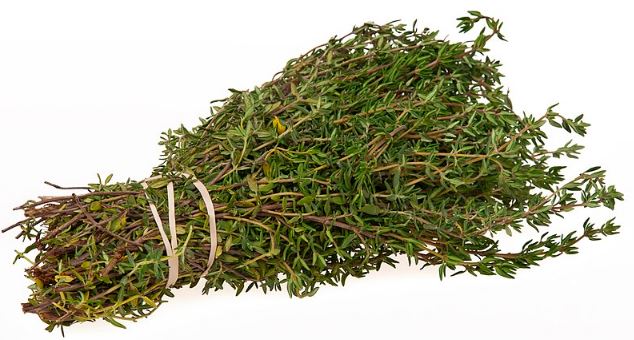 Thyme