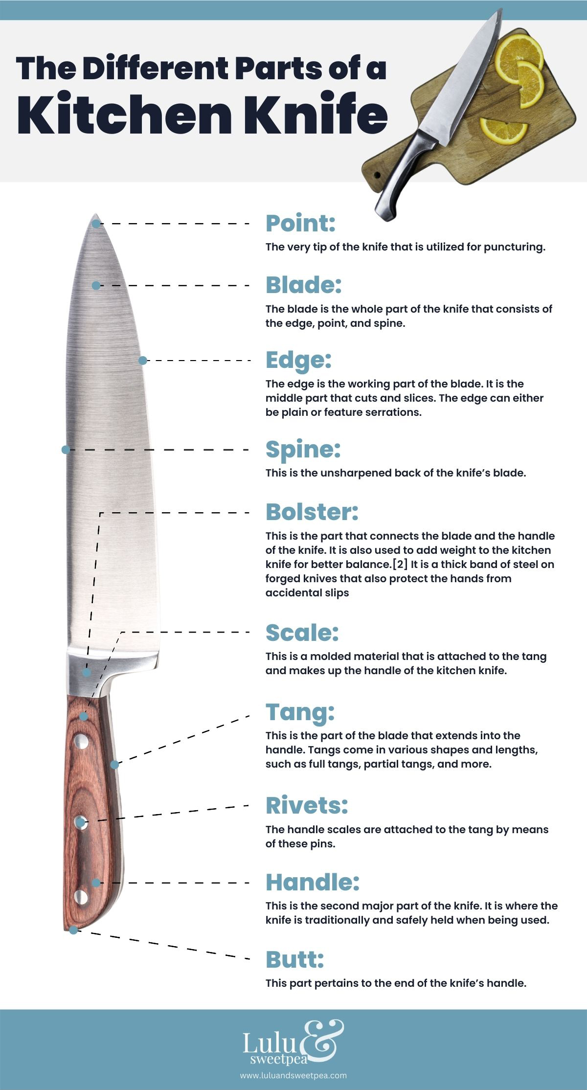 The Different Parts of a Kitchen Knife