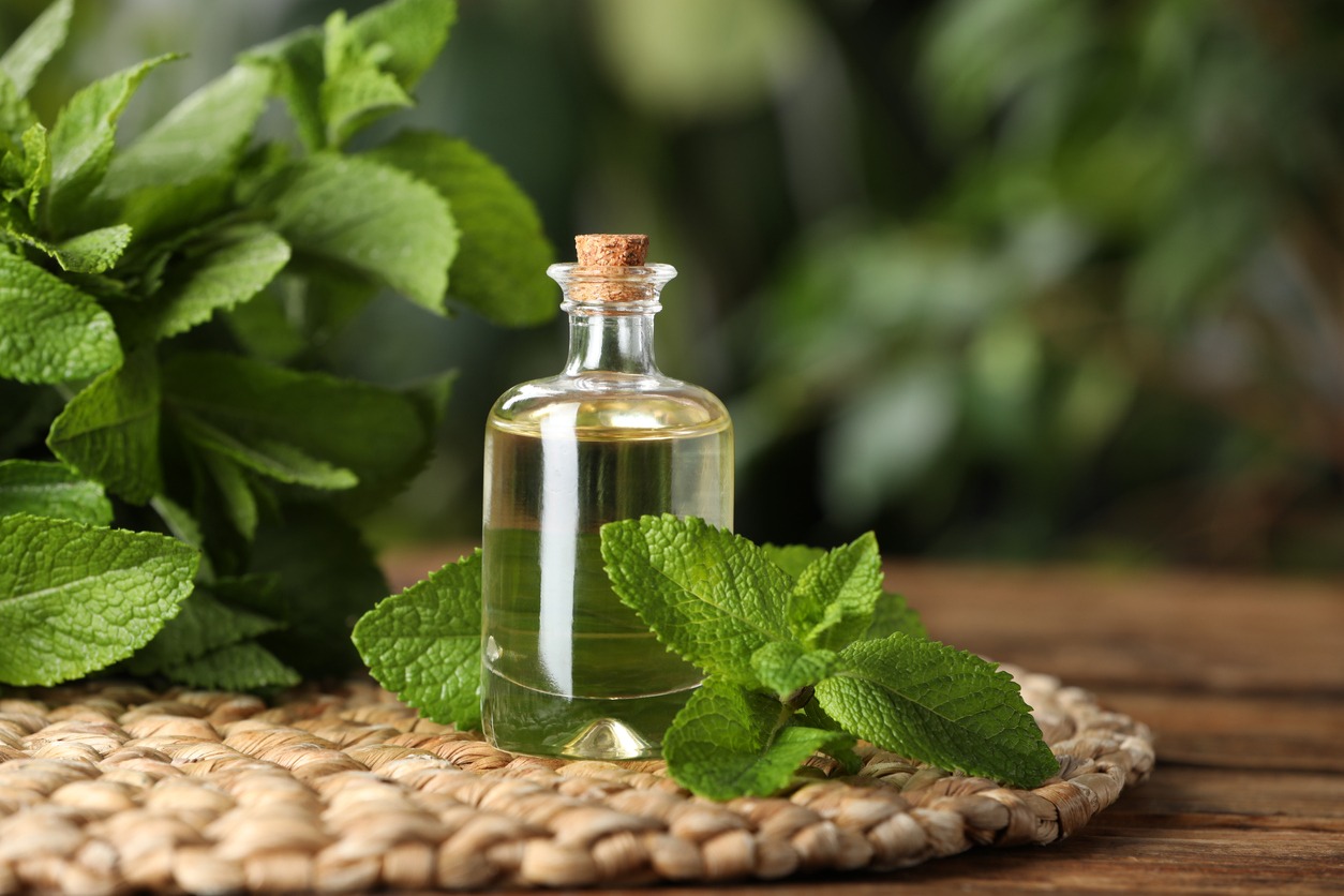 a bottle of peppermint oil spray