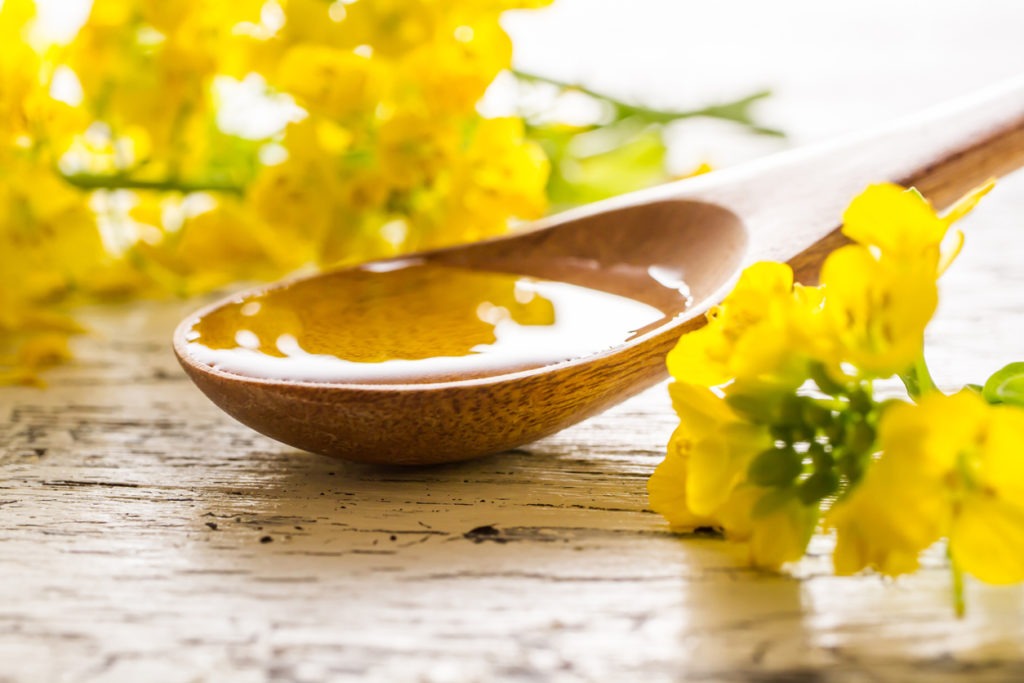 Rapeseed oil, cooking oil, and rapeseed bloom. 