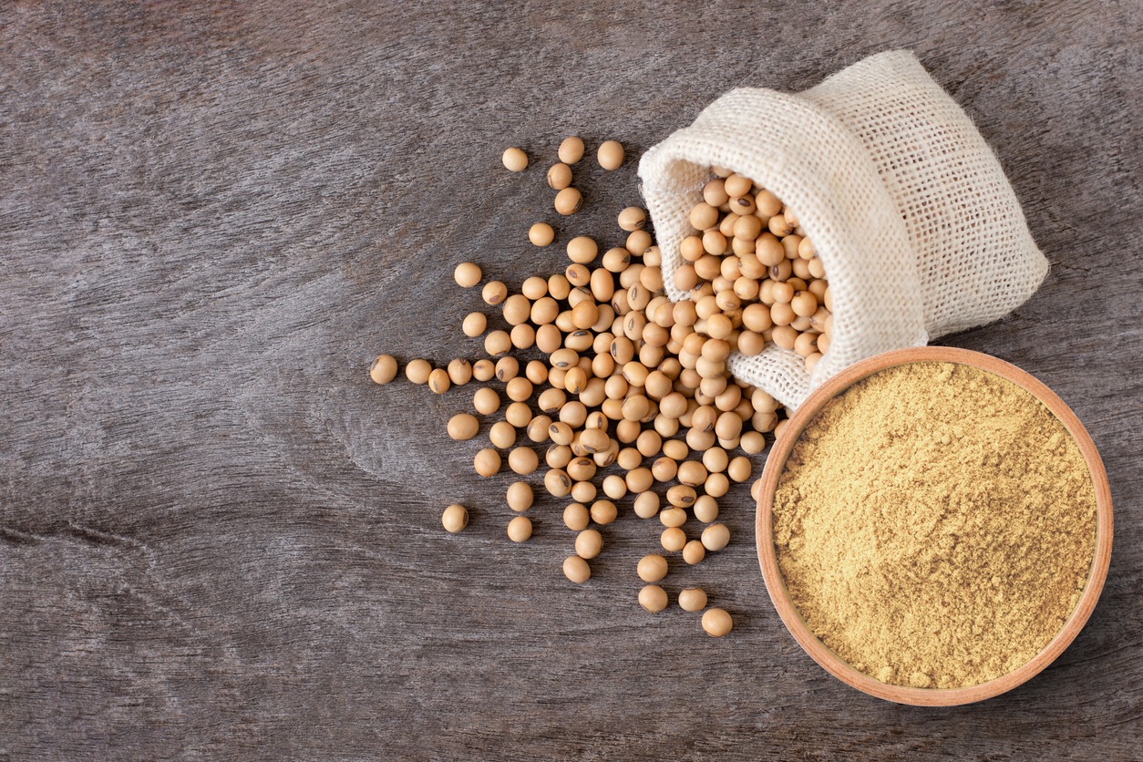 Soy protein