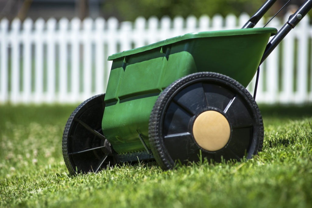 Lawn spreader in grass yard used for applying grass seed, fertilizer, herbicides, pesticides to kill weeds, white picket fence in background.