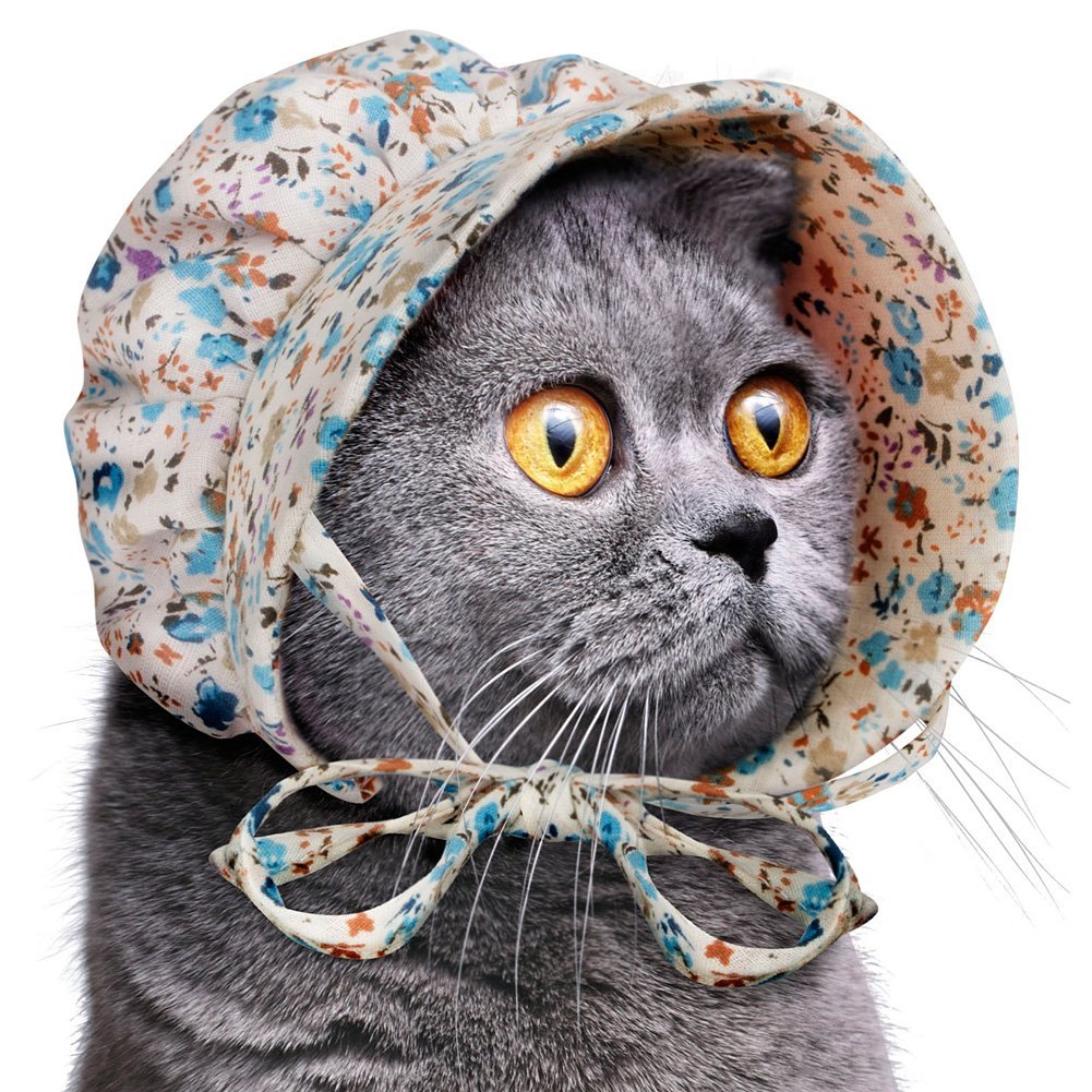 Bonnets For Cats