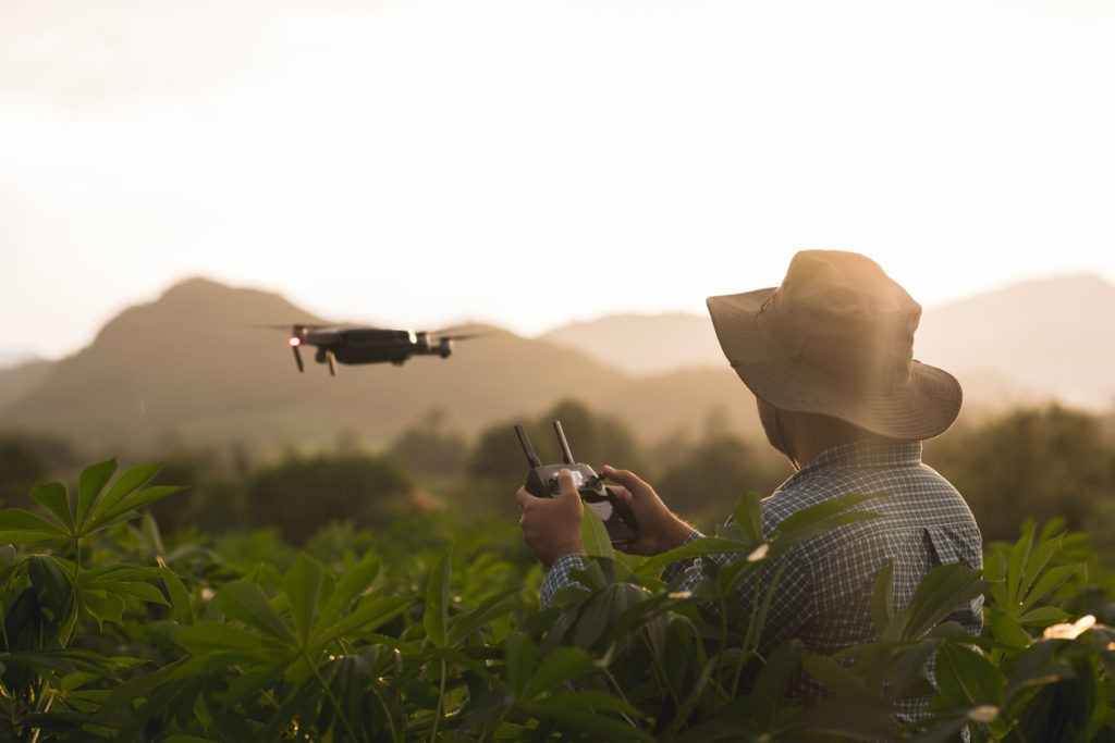 Asian farmer using drone flying navigating above farmland. A young farmer controls a drone in a large-scale survey of agricultural plots for modern farming and farming