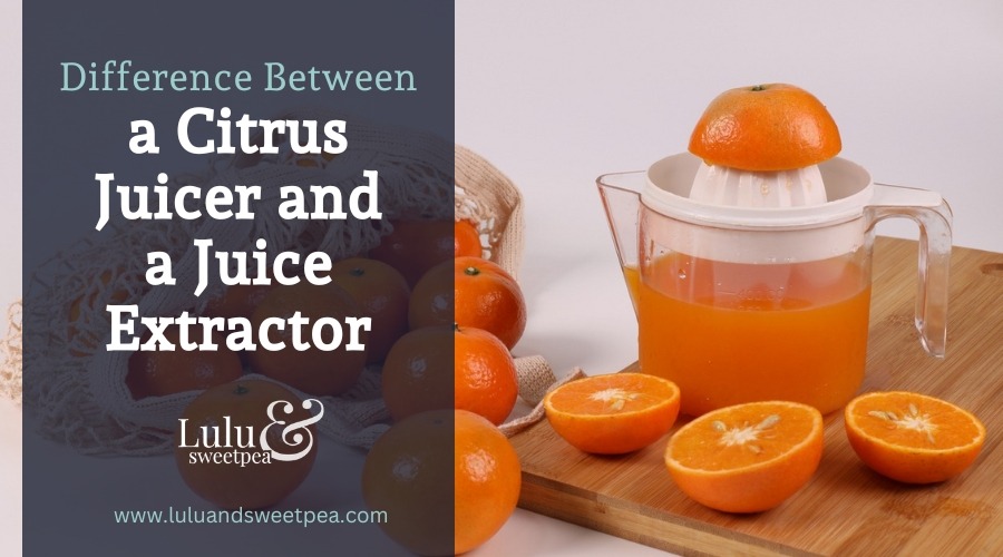 Difference Between a Citrus Juicer and a Juice Extractor
