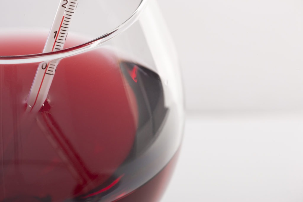 Measuring Red Wine Temperature with a Wine Thermometer. Close-up