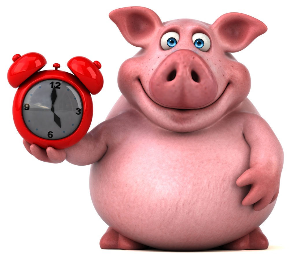 Pig Holding an alarm clock, bacon alarm clock