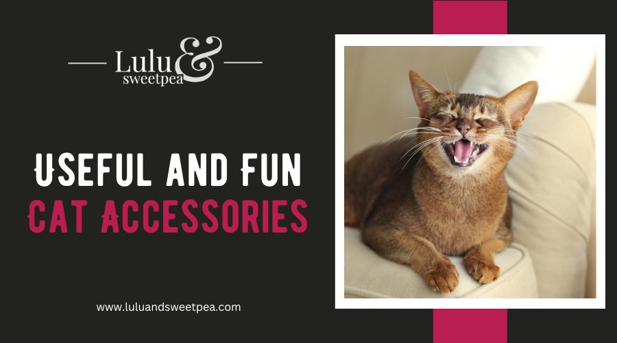 Useful and Fun Cat Accessories