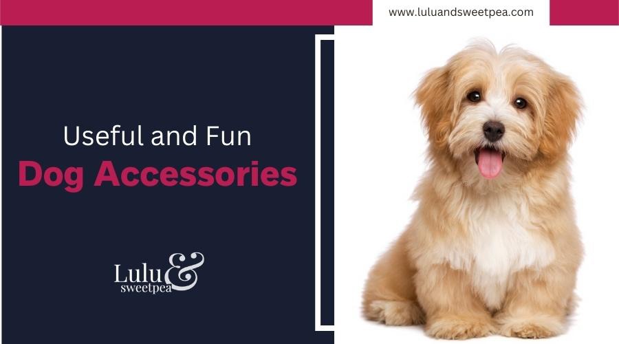 Useful and Fun Dog Accessories