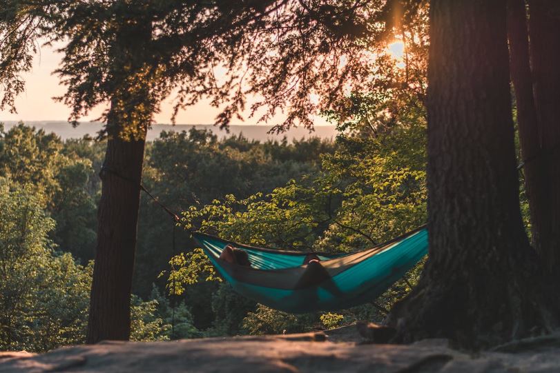 a person lying on a hammock between trees during the day