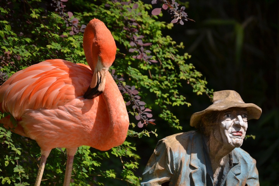 pink flamingo statue beside a statue of an old man
