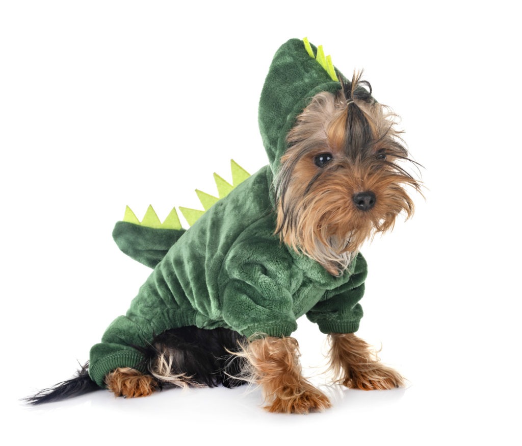 Dog-Halloween-Costume-Dinosaur-Dog-Costume-scaled