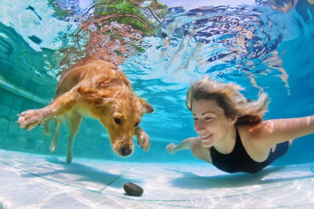 Exercise-with-Dog-Swimming-Swimming-with-Dog
