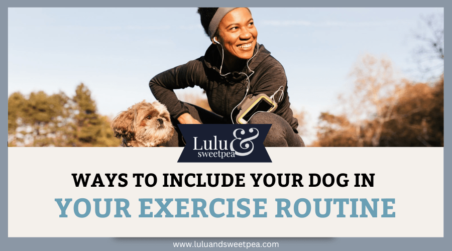 Ways to Include your Dog in your Exercise Routine