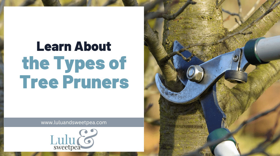Learn About the Types of Tree Pruners