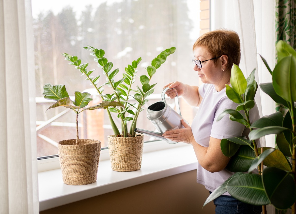 An elderly woman waters home plants on the windowsill from a watering can. spring cleaning