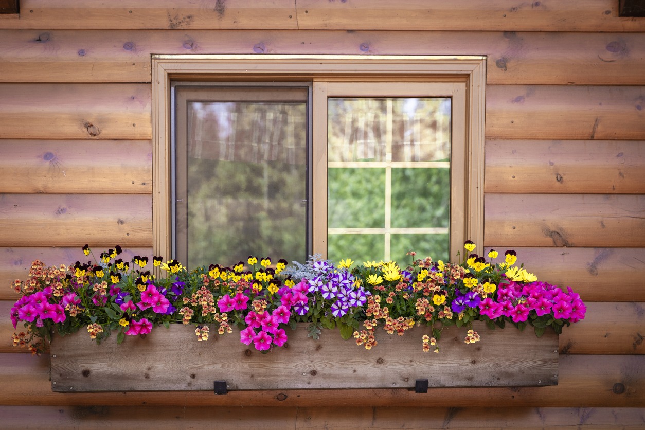 Window with window box full of flowers