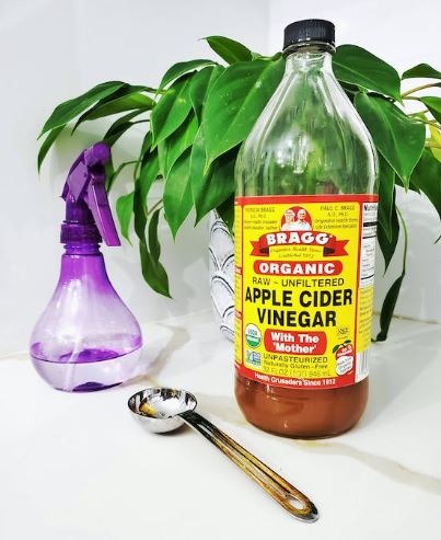 apple cider vinegar, spray bottle, and a spoon