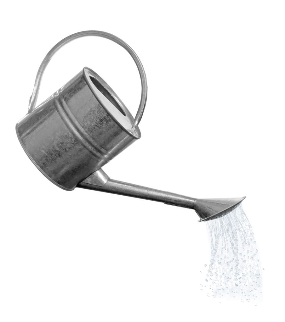 Pouring liquid from watering can on white background