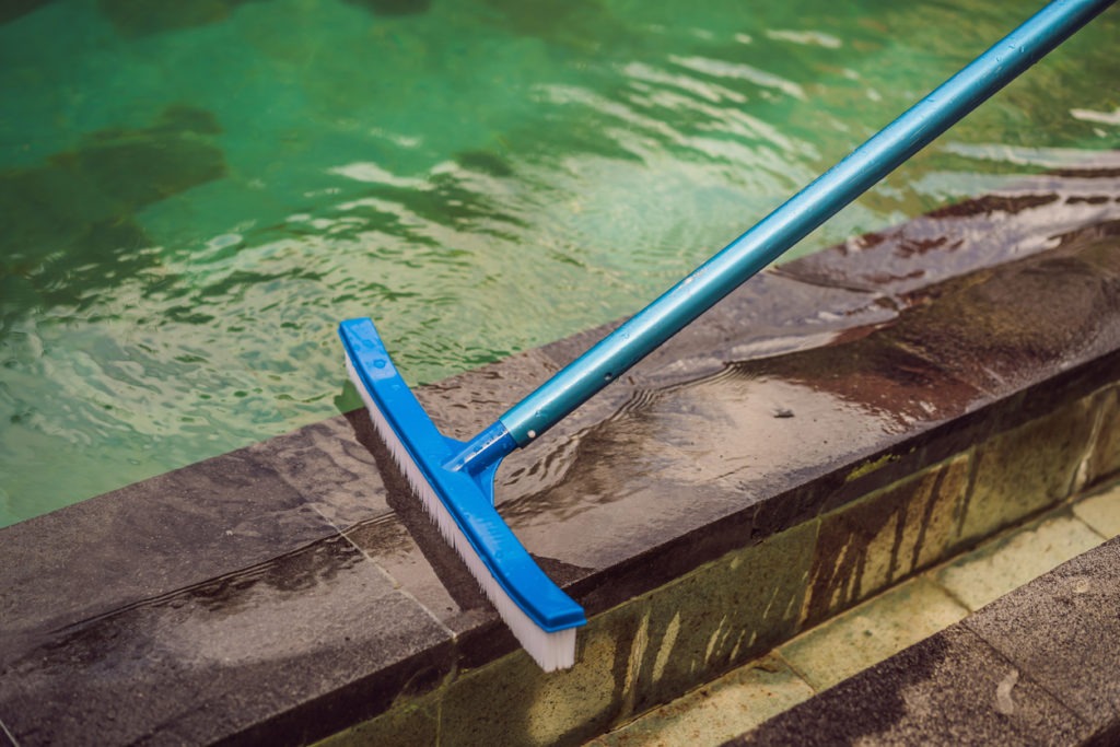 Brush for cleaning the pool on the side of the pool