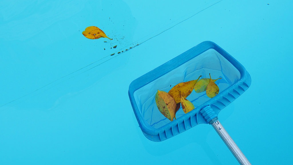 Cleaning swimming pool of fallen leaves with the blue skimmer in the summertime. Swimming pool maintenance background