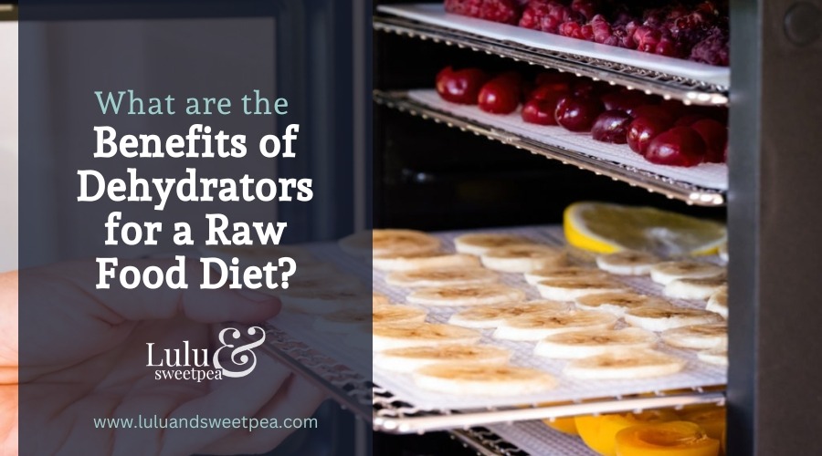 What are the Benefits of Dehydrators for a Raw Food Diet