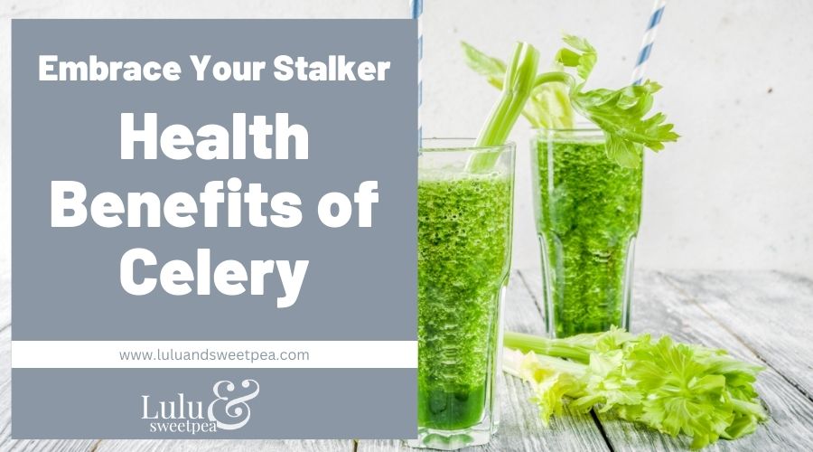 Embrace Your Stalker | Health Benefits of Celery