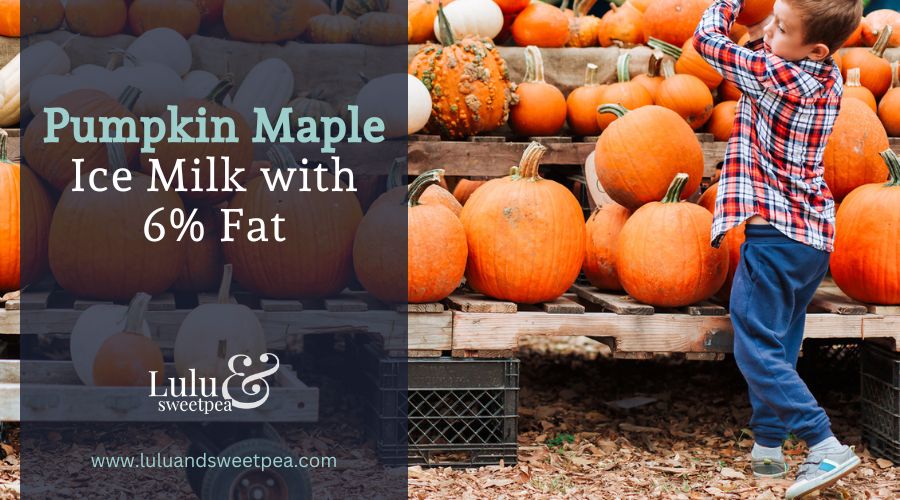 Pumpkin Maple Ice Milk with 6% Fat