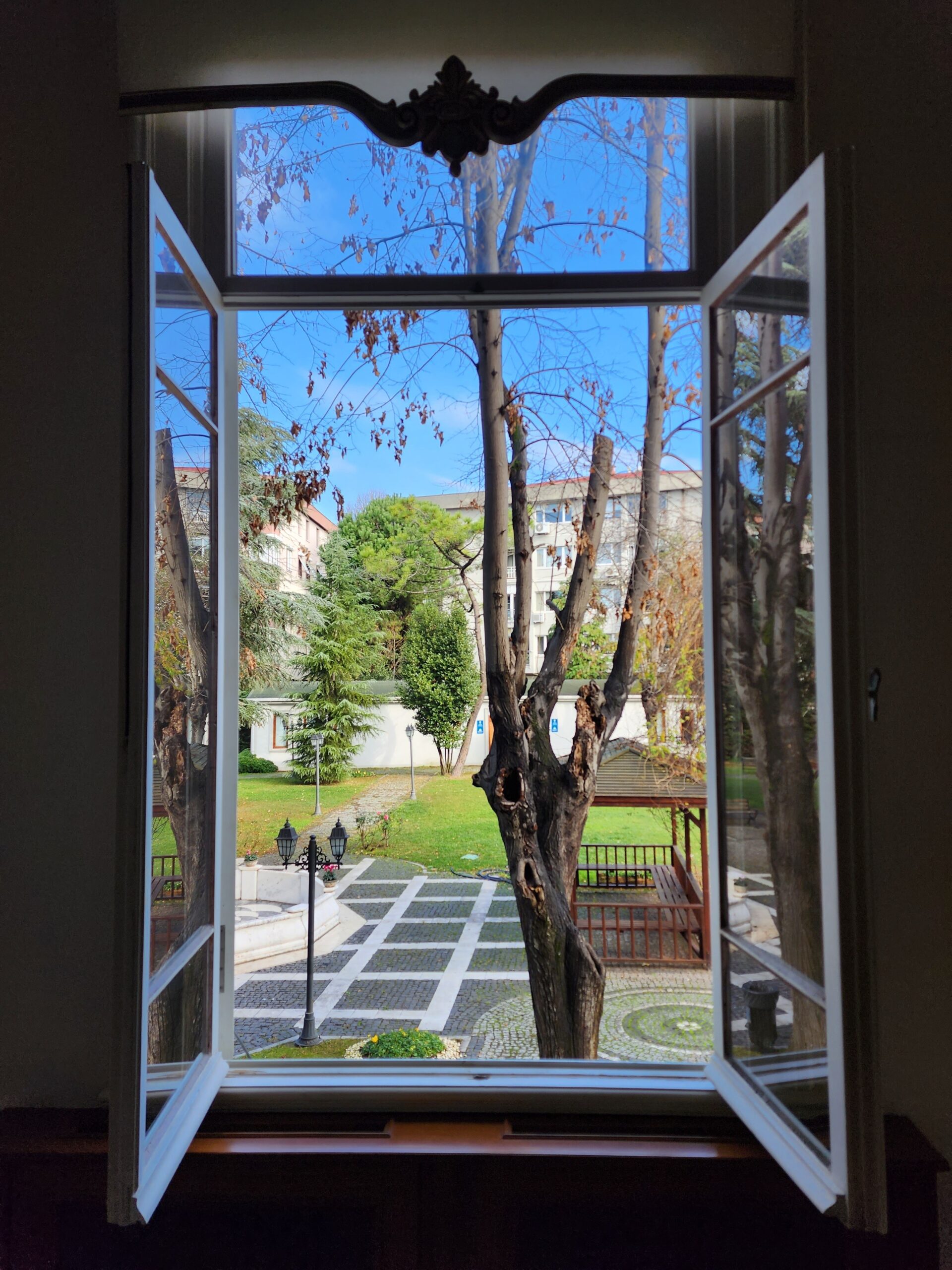 view of green trees from an opened window of an apartment
