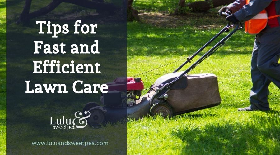A man caring for his lawn with a lawn mower