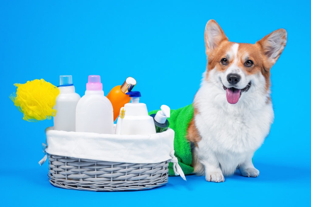  Dog-Shampoo-and-Hygiene-Products-Bathing-and-Grooming-Needs-scaled