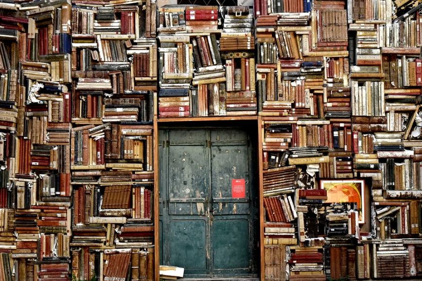 a wall stacked with books, with a door in the middle