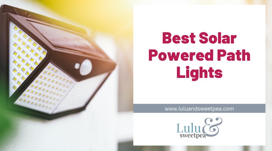 Best Solar Powered Path Lights