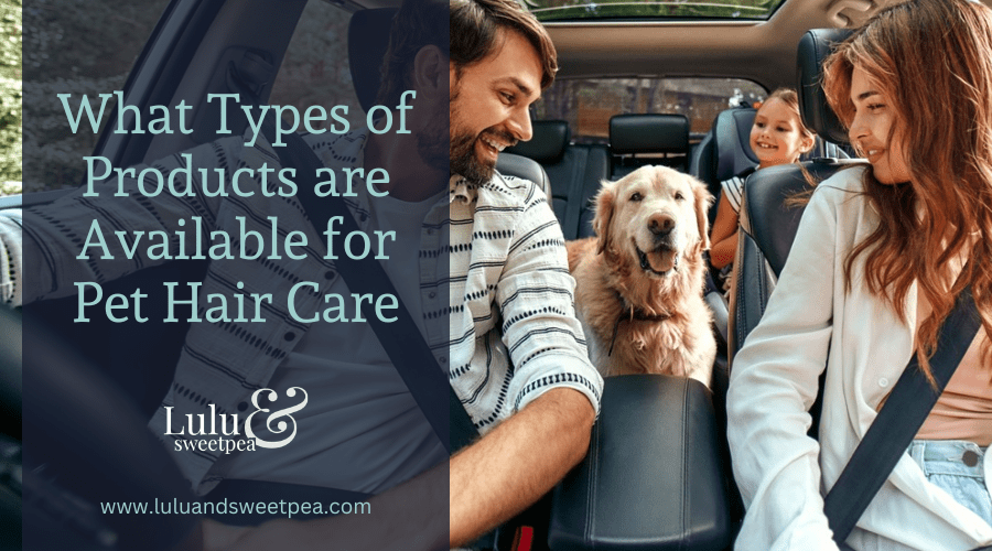 What Types of Products are Available for Pet Hair Care