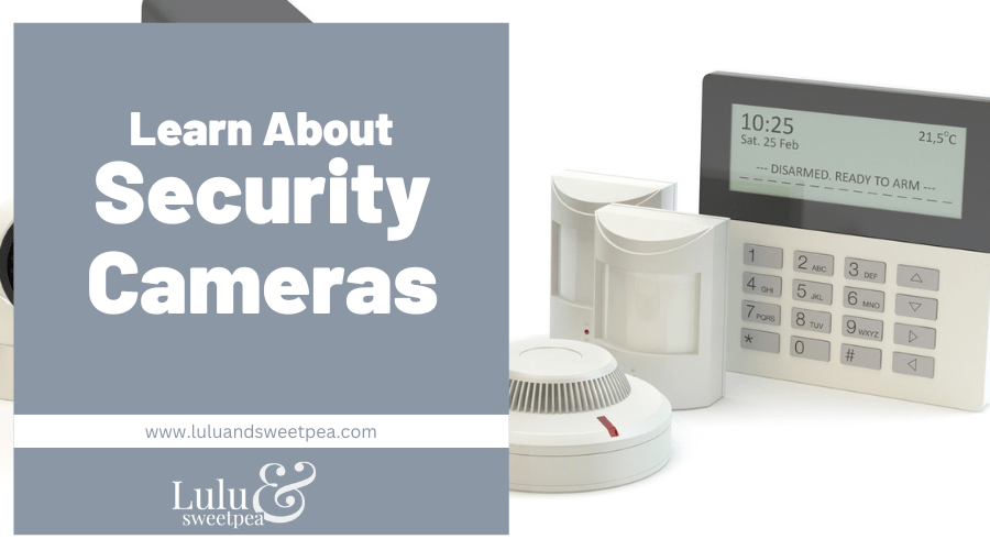 Learn About Security Cameras