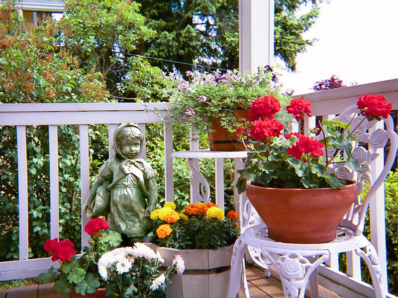 What You Need To Start Container Gardening