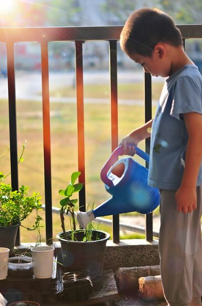 a boy watering a potted plant, gate, potted plants